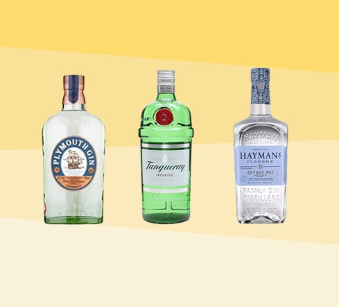 Worlds Best Gins: Explore Top London Dry, Classic & Sloe Gin Styles