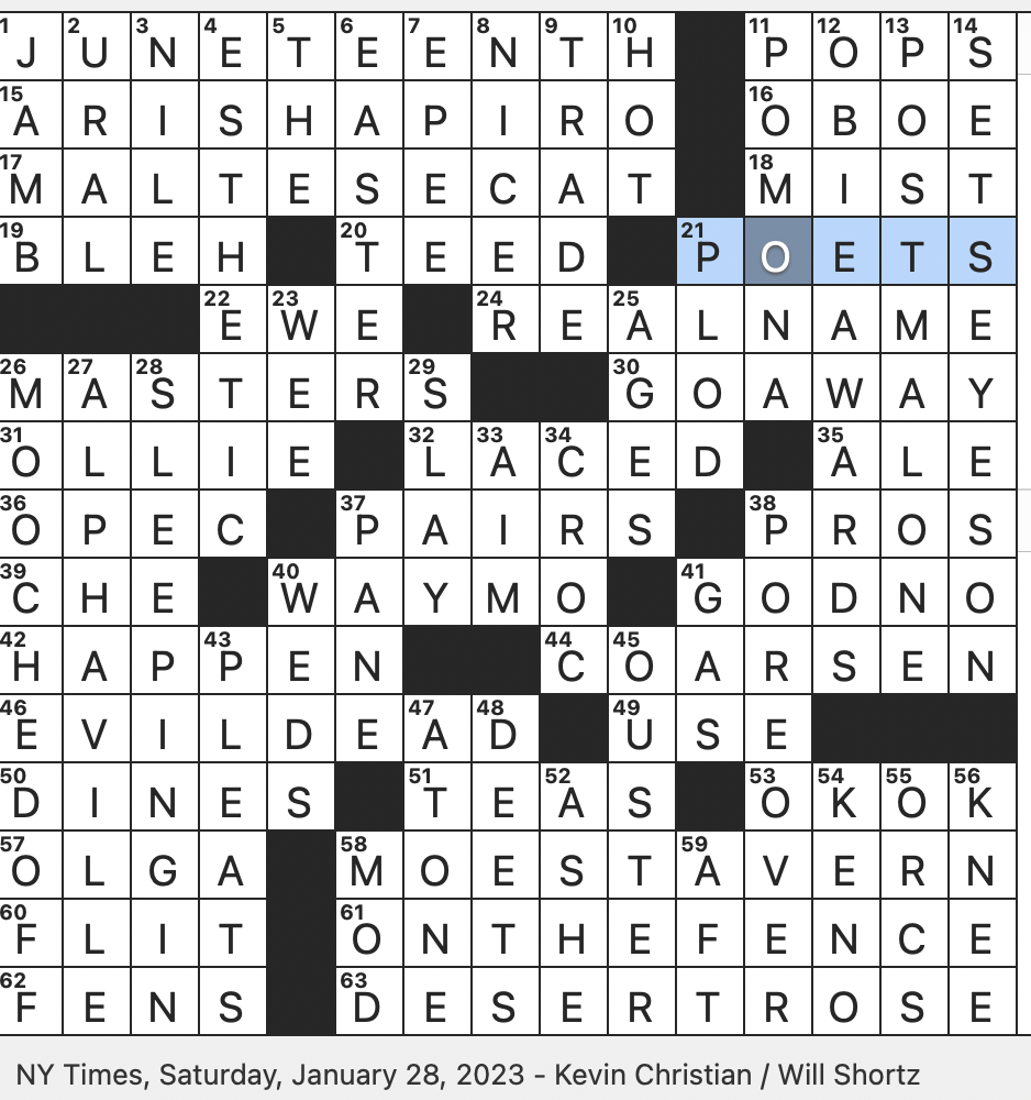 Discover the Answer to Low-Tech Security Measures on Some Doors NYT Puzzle