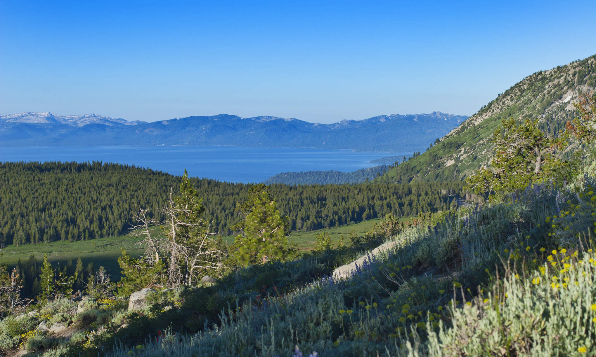 How to File a Noise Complaint for Your Business in South Lake Tahoe