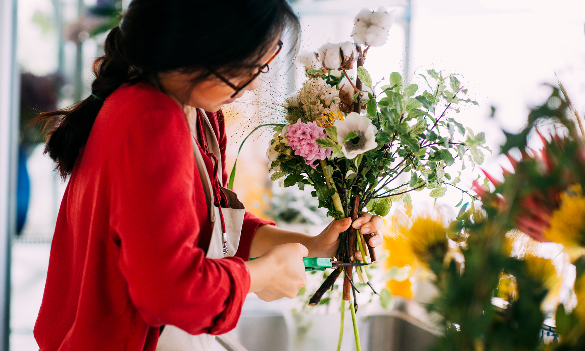 Exploring Cut Flower Politics: From Environmental Concerns to Policy Changes