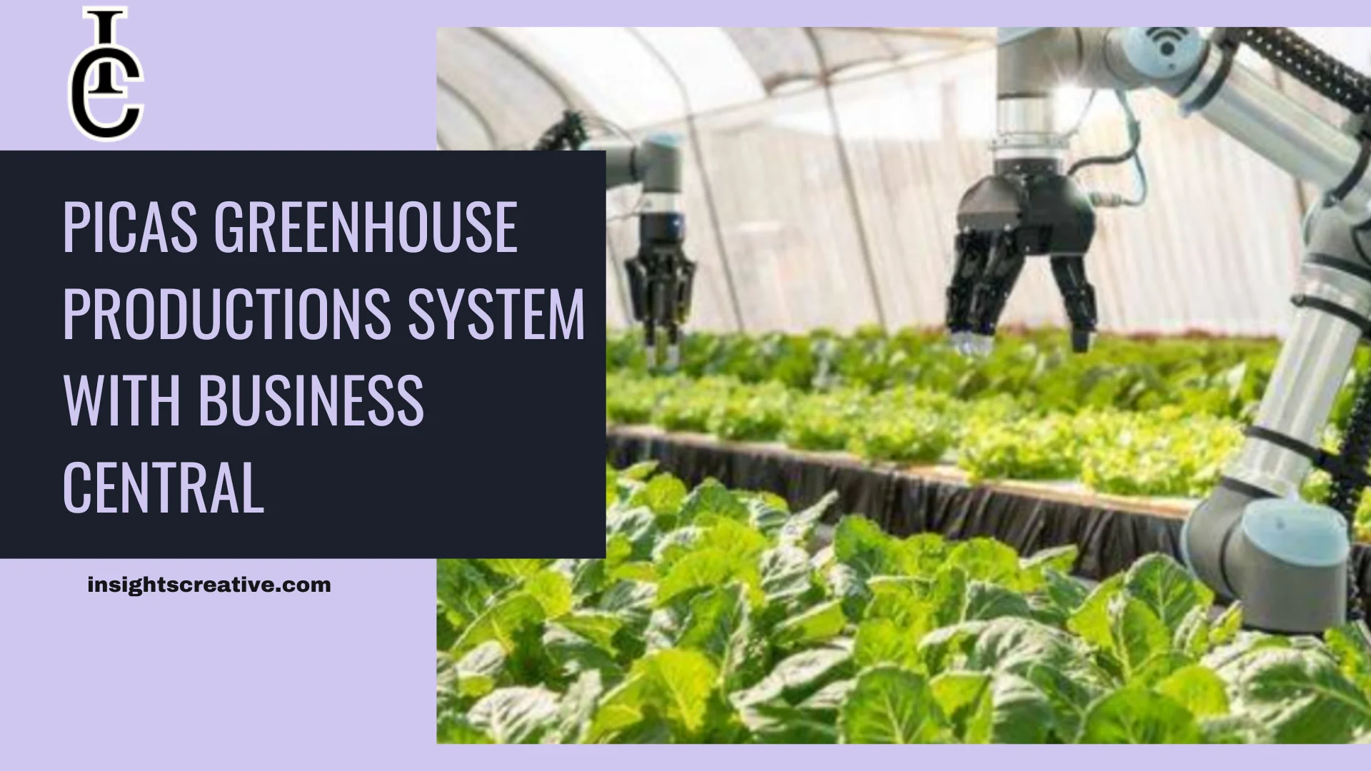 How the Picas Greenhouse Productions System with Business Central Transforms Greenhouse Management