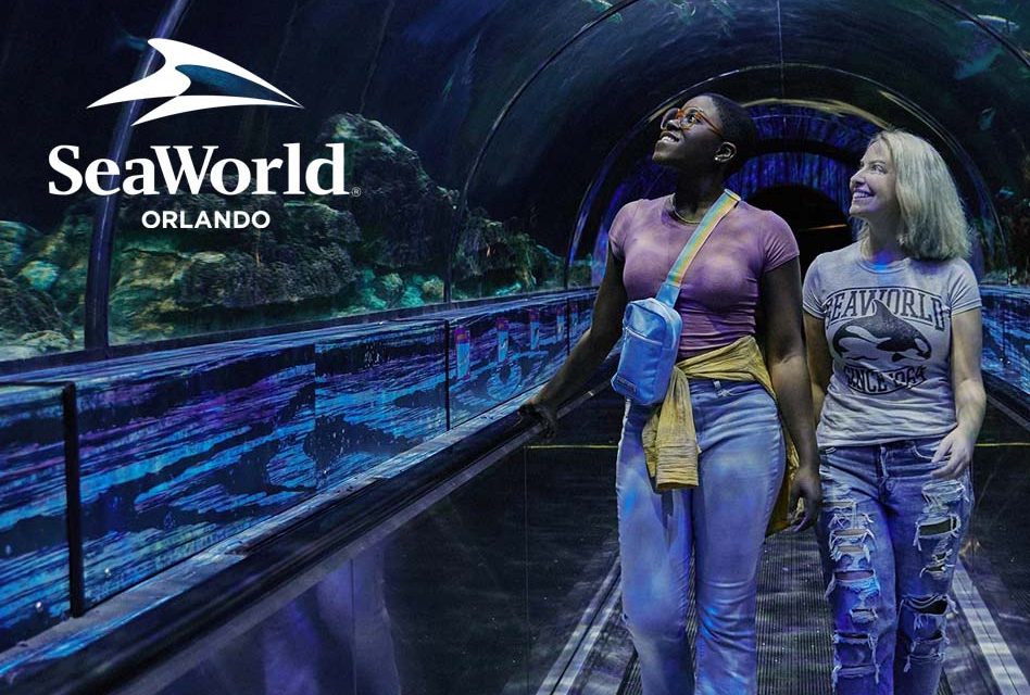Exploring the Positive Aspects of SeaWorld: Education, Wildlife Rescue, and More