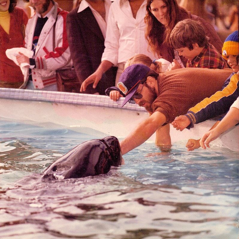 What Was Howard Garretts Role at SeaWorld? Uncover His Impact on Marine Life