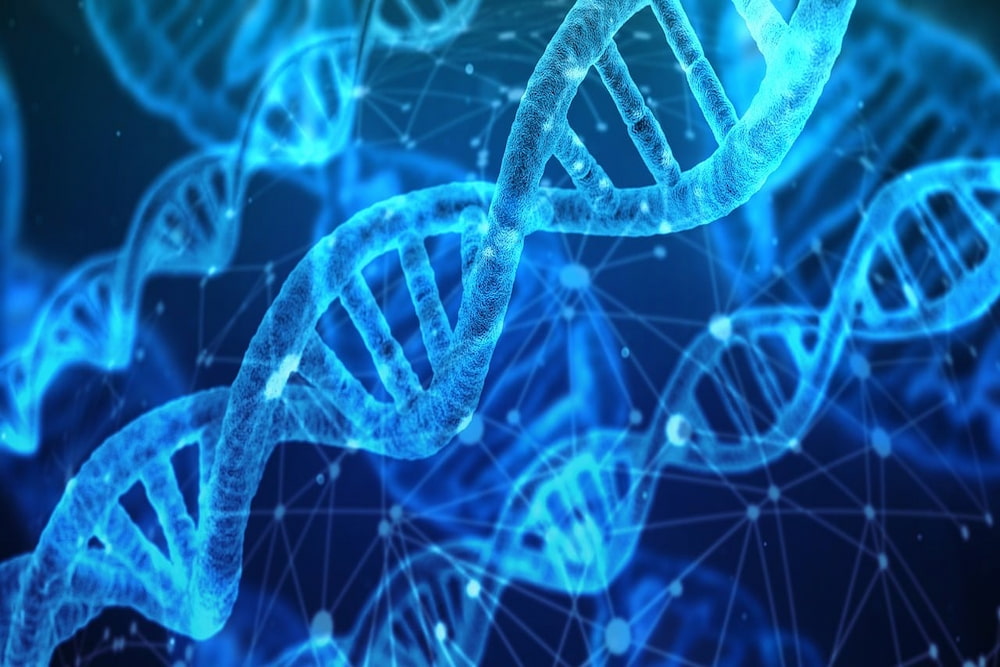 California Biotech Giant: A Look Inside the World's Top Innovator