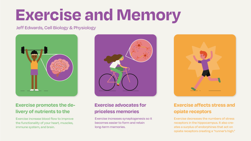 Top Benefits of Memo Sports: Improve Your Memory and Have Fun (Discover the Power of Mental Exercise)