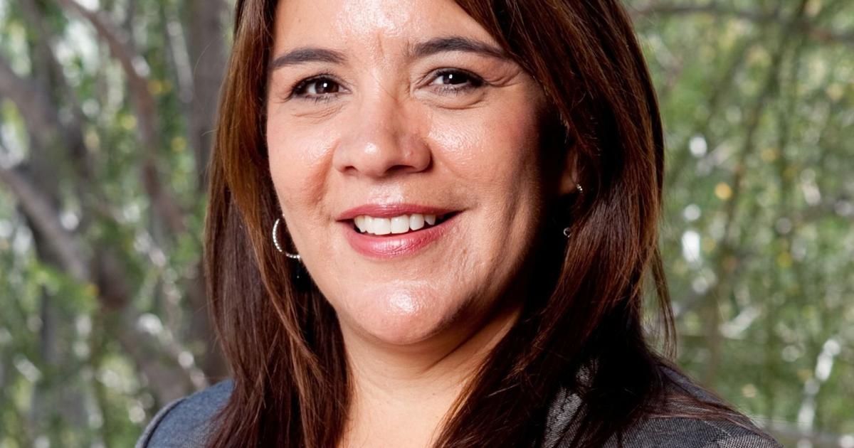 Is Lisa Navarro Fitzgibbons a Democrat or Republican? Political Affiliation Explored