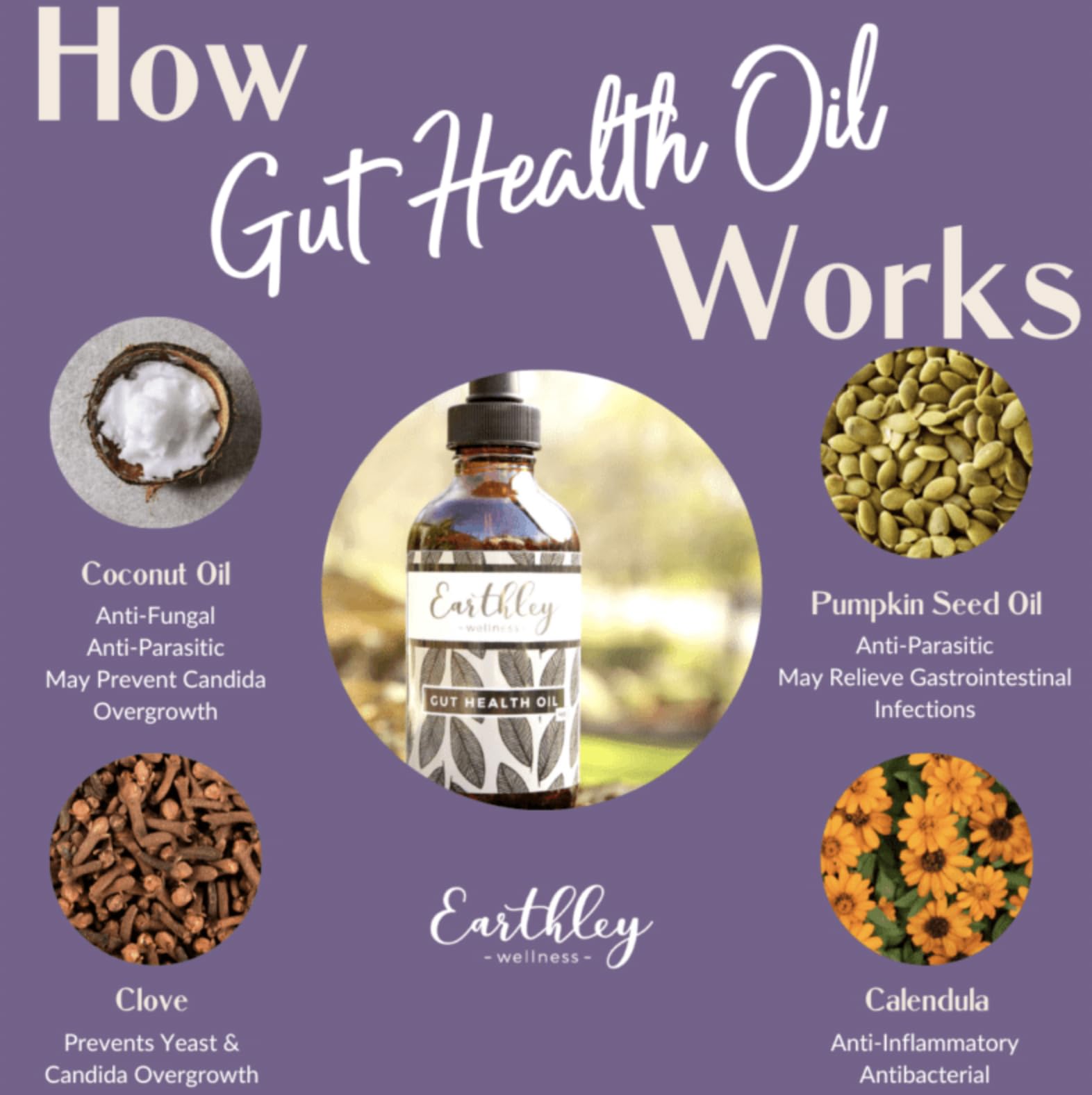 Best Gut Health Oil? Find the Right One for You