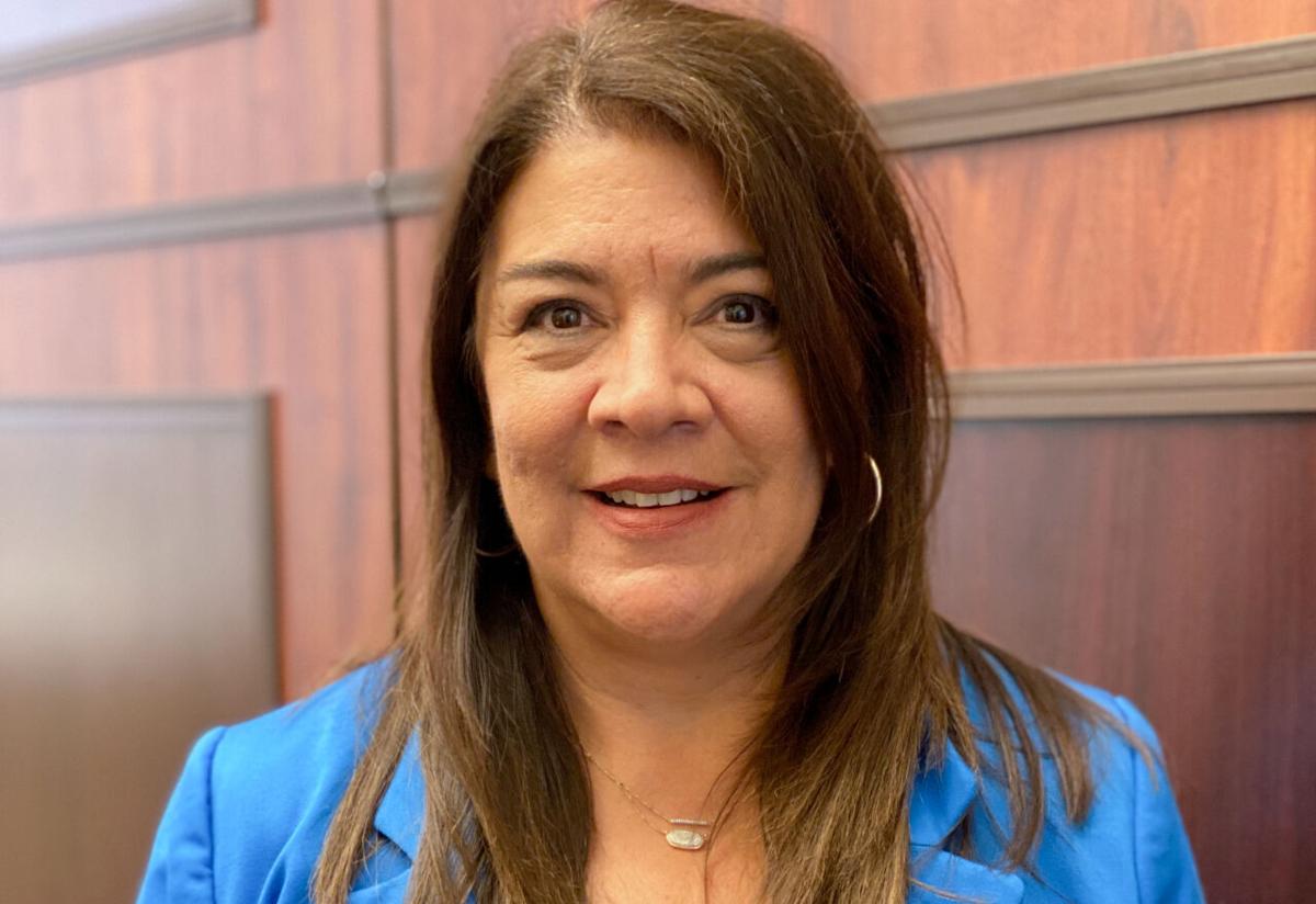 Is Lisa Navarro Fitzgibbons a Democrat or Republican? Political Affiliation Explored