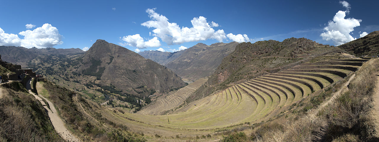 The Core of Andean Culture: Political and Social Organization
