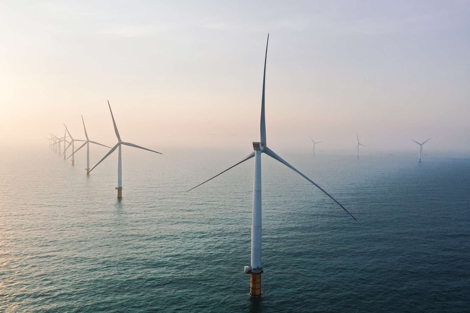 Top Wind Technology Stocks to Watch in the Renewable Energy Market
