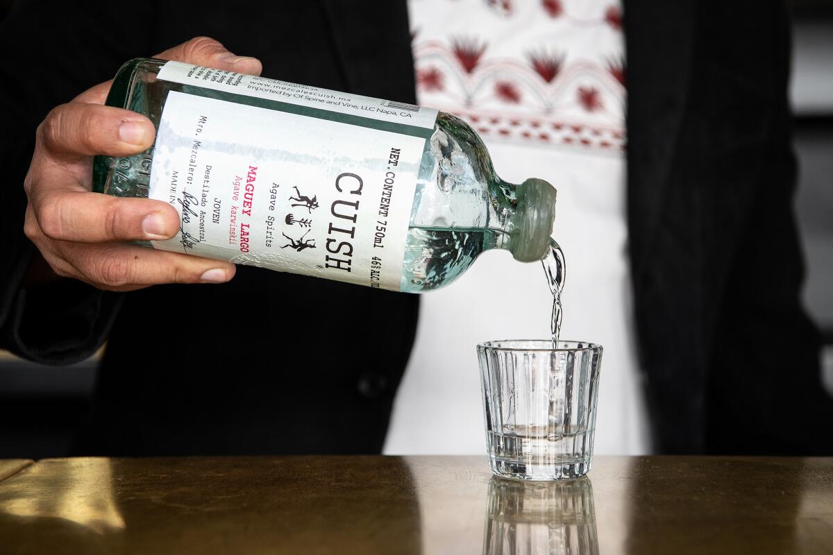 Discover the Amazing Health Benefits of Mezcal Today