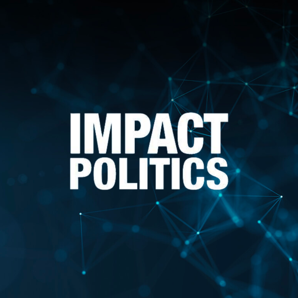 Impact Politics LLC: Your Easy Guide to Political Consulting