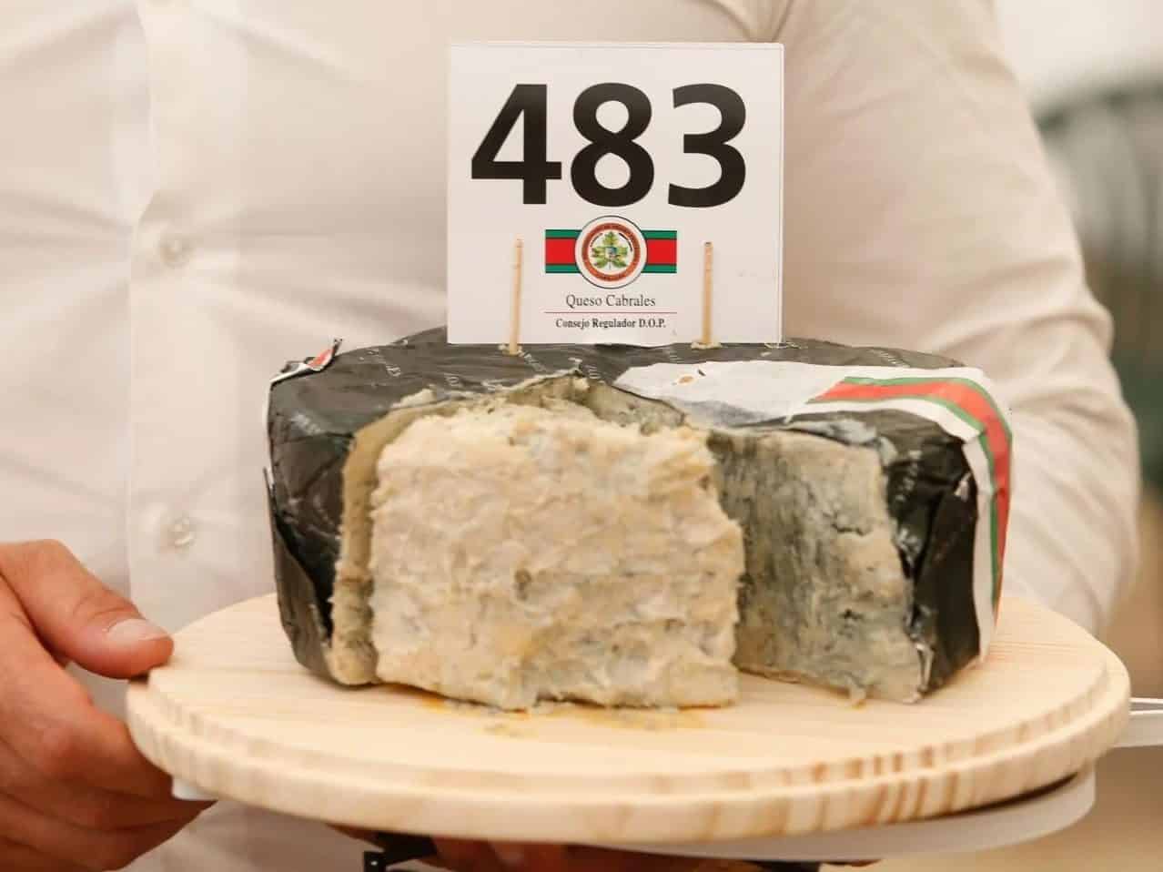 heres a list of the most expensive cheeses in the world and where to find them!