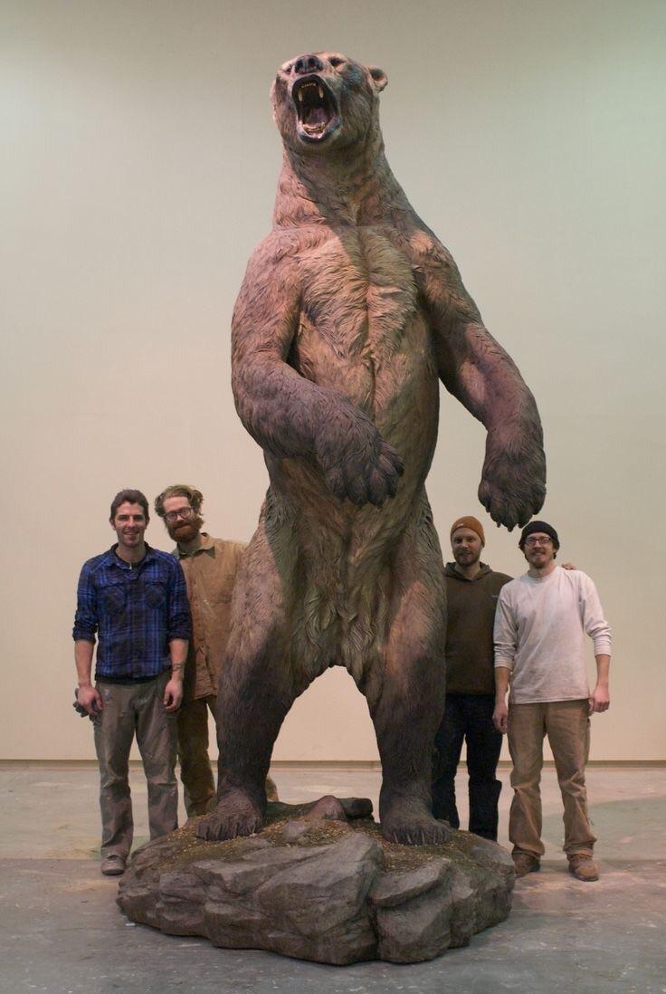Is this the largest grizzly bear ever recorded in the world (Find out the facts on this massive beast)