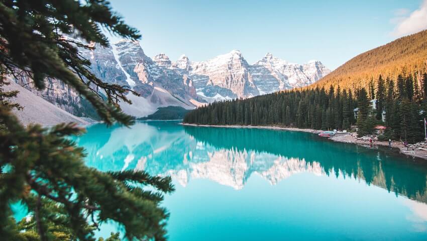 Want to Buy Business in Alberta? Heres What You Need to Know to Get Started Right Now