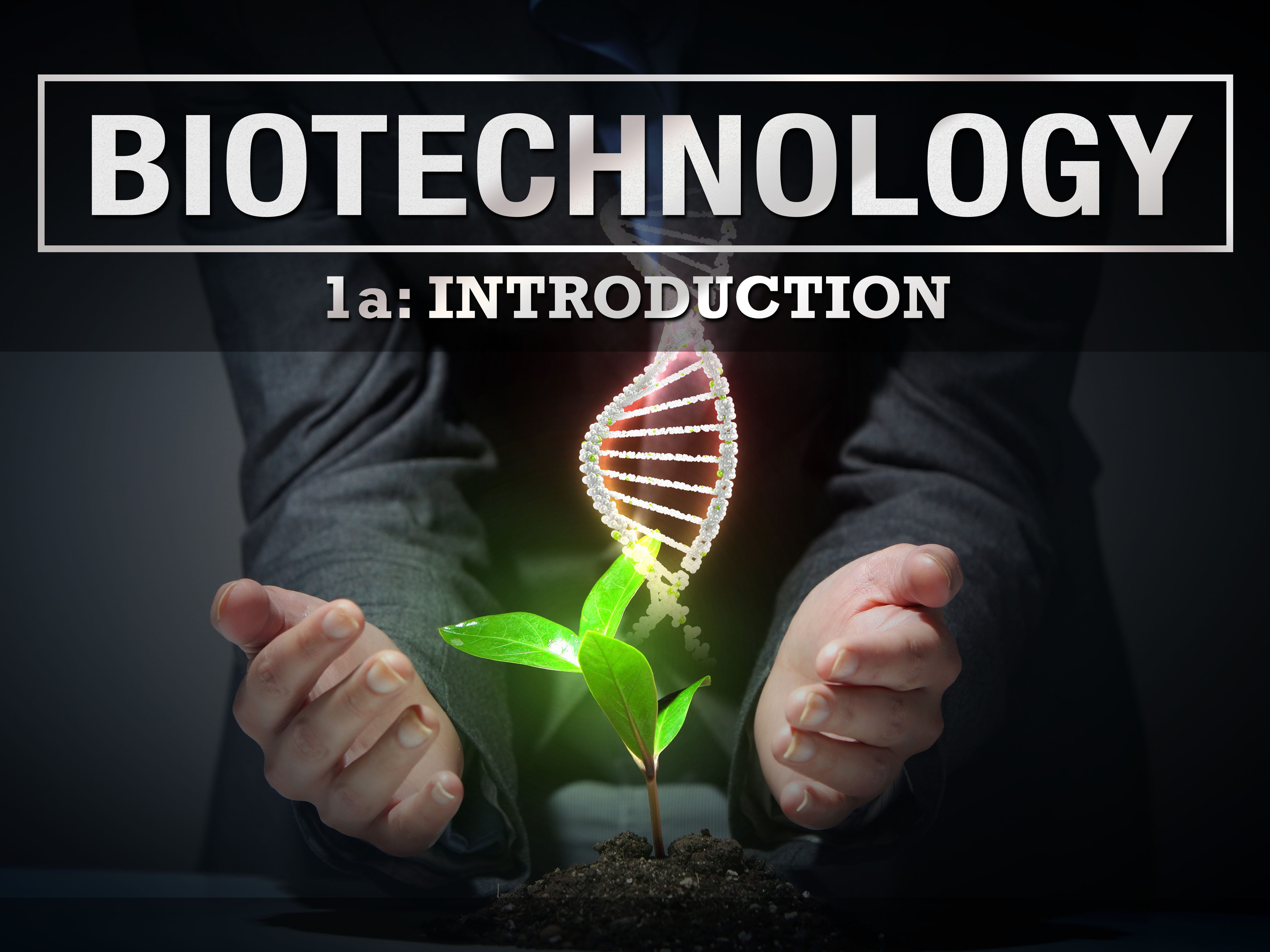 Whats iamcor biotech co all about? Learn the basics here!