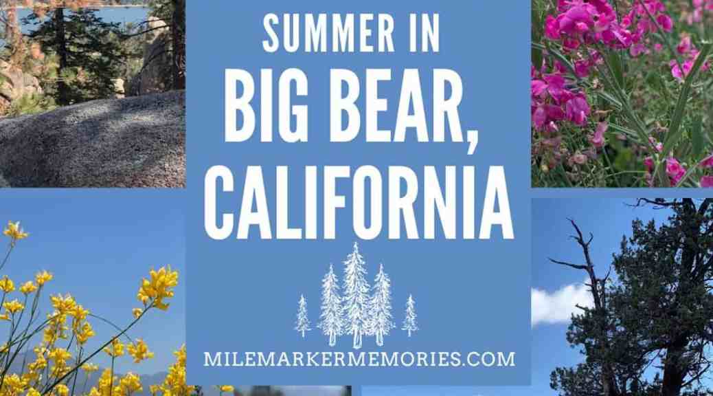 Big Bear Sports Center: Plan Your Perfect Day of Activities and Excitement