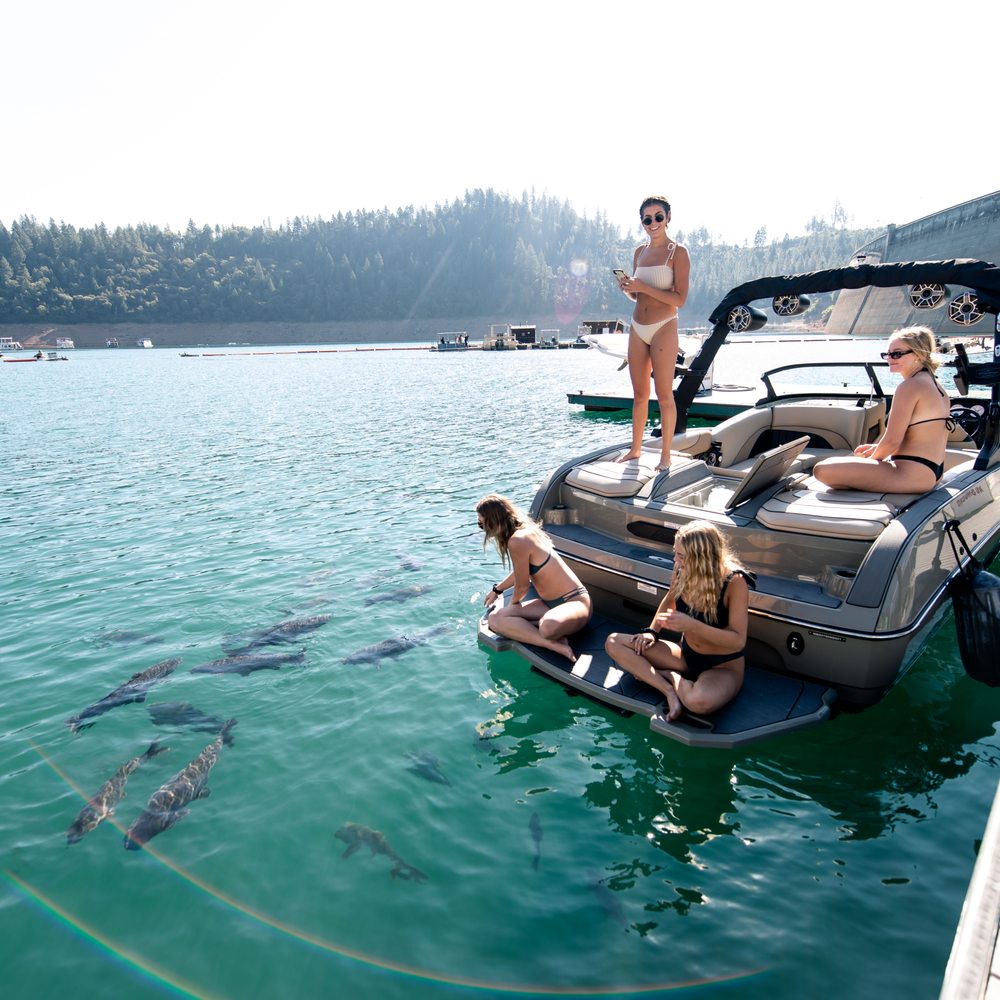 Best Water Sports Seattle Has to Offer (Have Fun with Water Sports in Seattle)