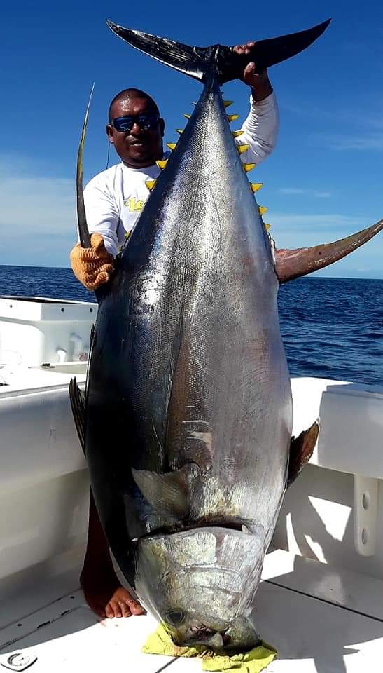 Looking for the Best Tuna Fishing in the World? Heres Your Must-See List!