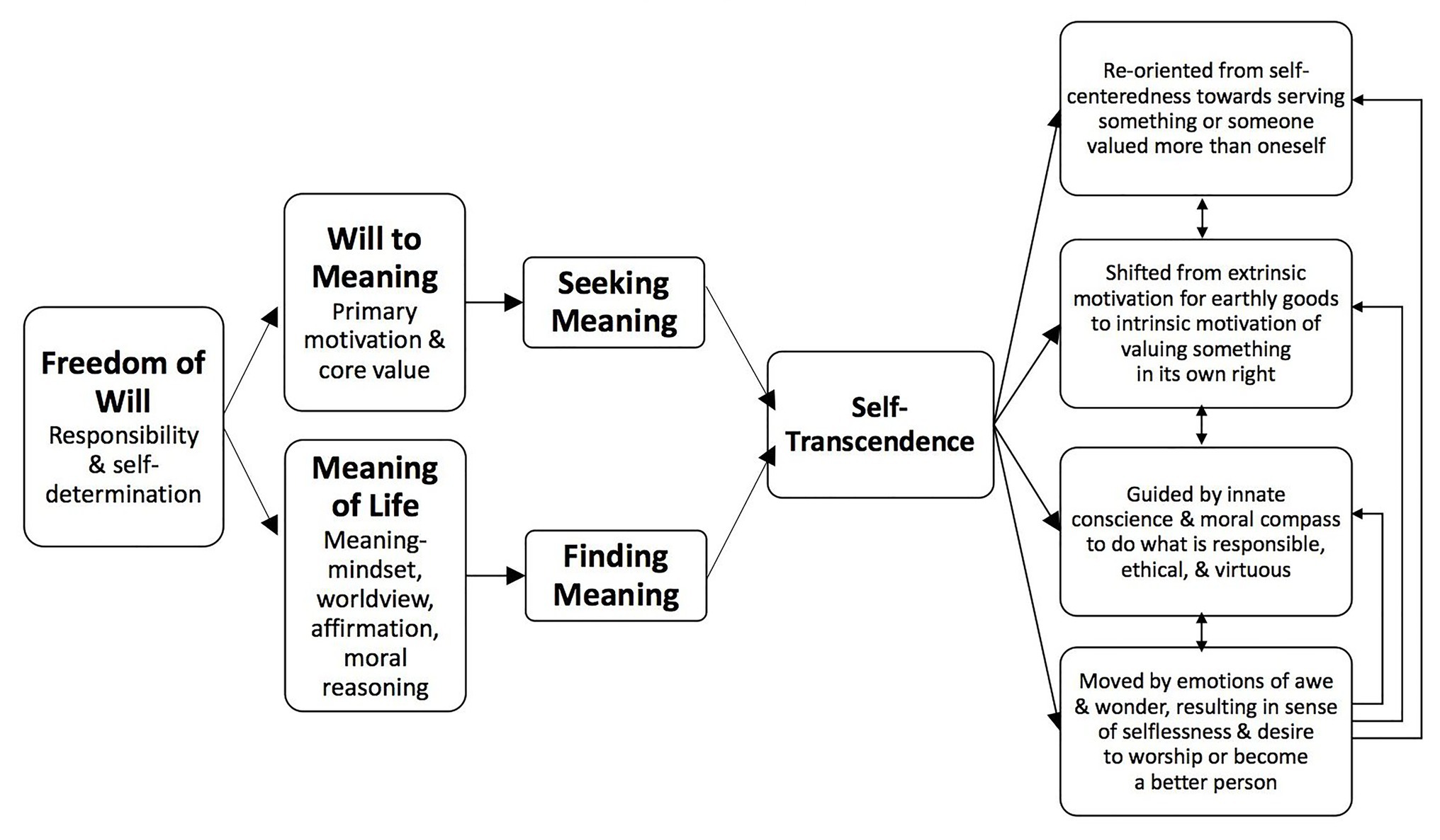 Why Choose Entertainment vs Transcendence? Tips for a More Meaningful Life.