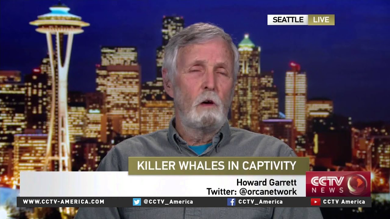 What was Howard Garret Seaworld: Learn the untold story in simple words