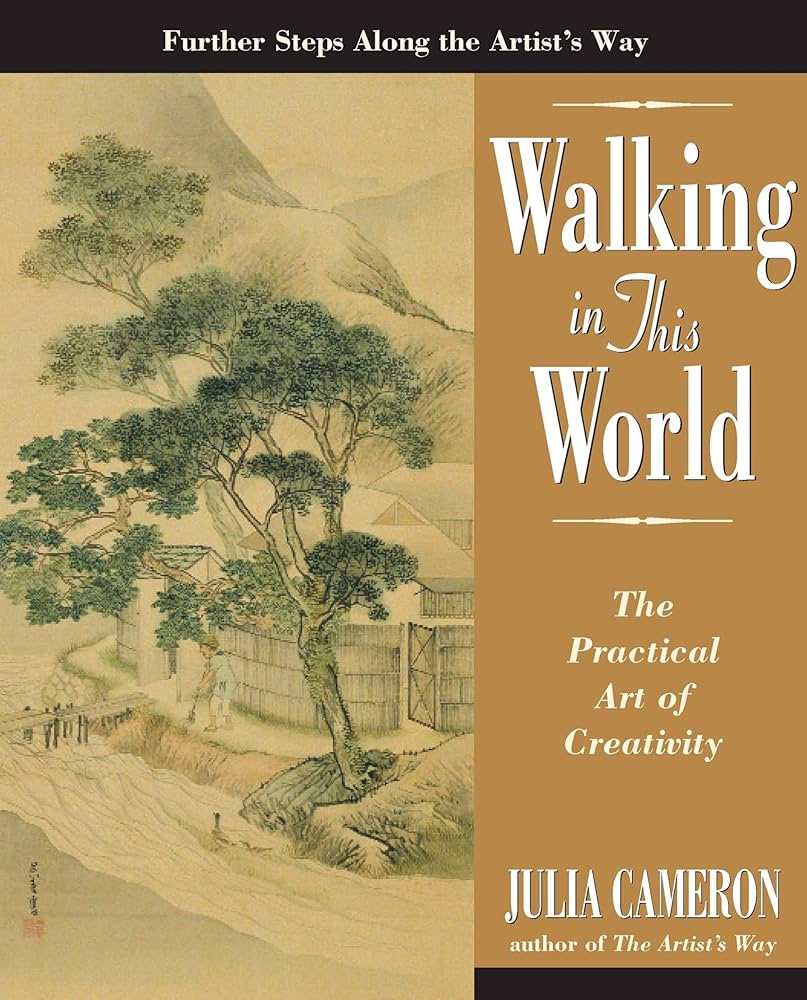 Walking in This World: How to Navigate Lifes Challenges