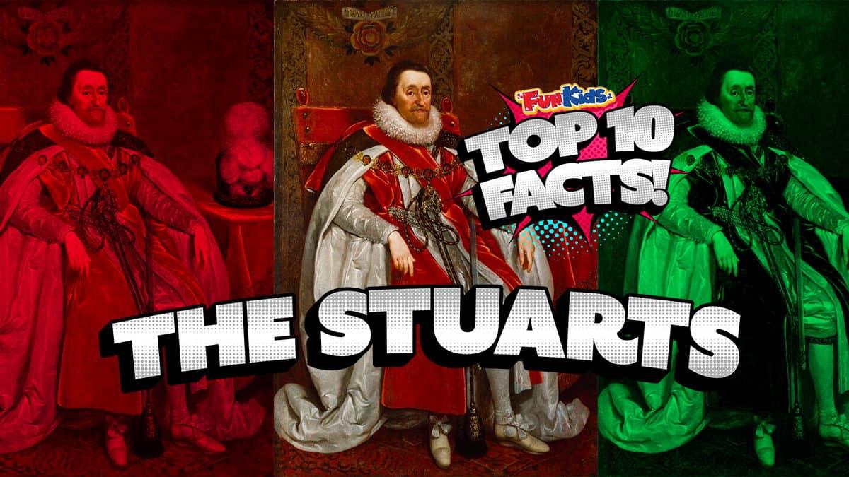 All About stuart entertainment,Get the Facts Here!