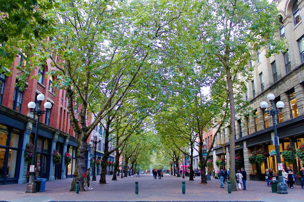 Want to support small businesses in Seattle? Here are the coolest neighborhoods you should explore now.