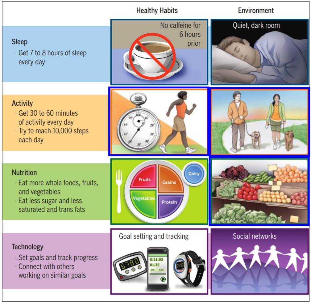 Simple steps to restore health & wellness daily: Practical advice you can start using right now.