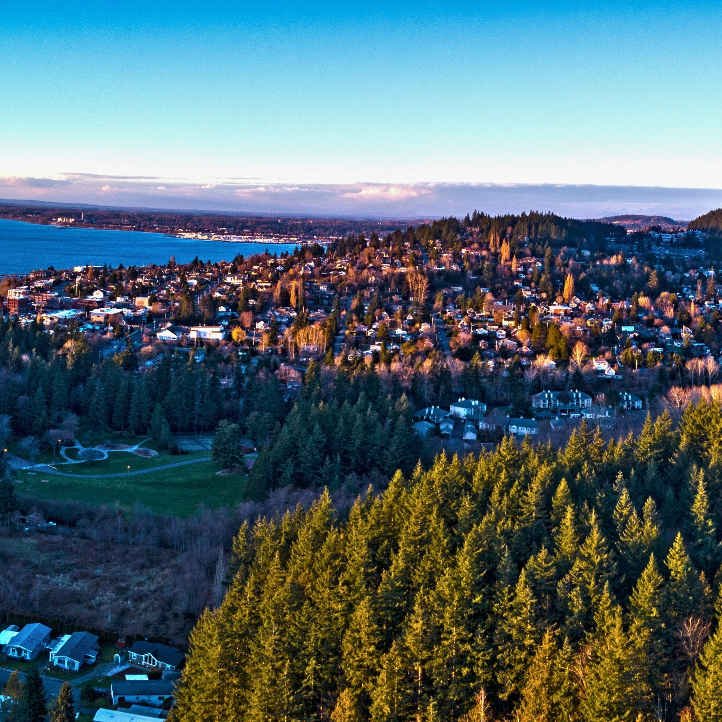 Where are the top listings for a business for sale Whatcom County? Check these platforms for great options!