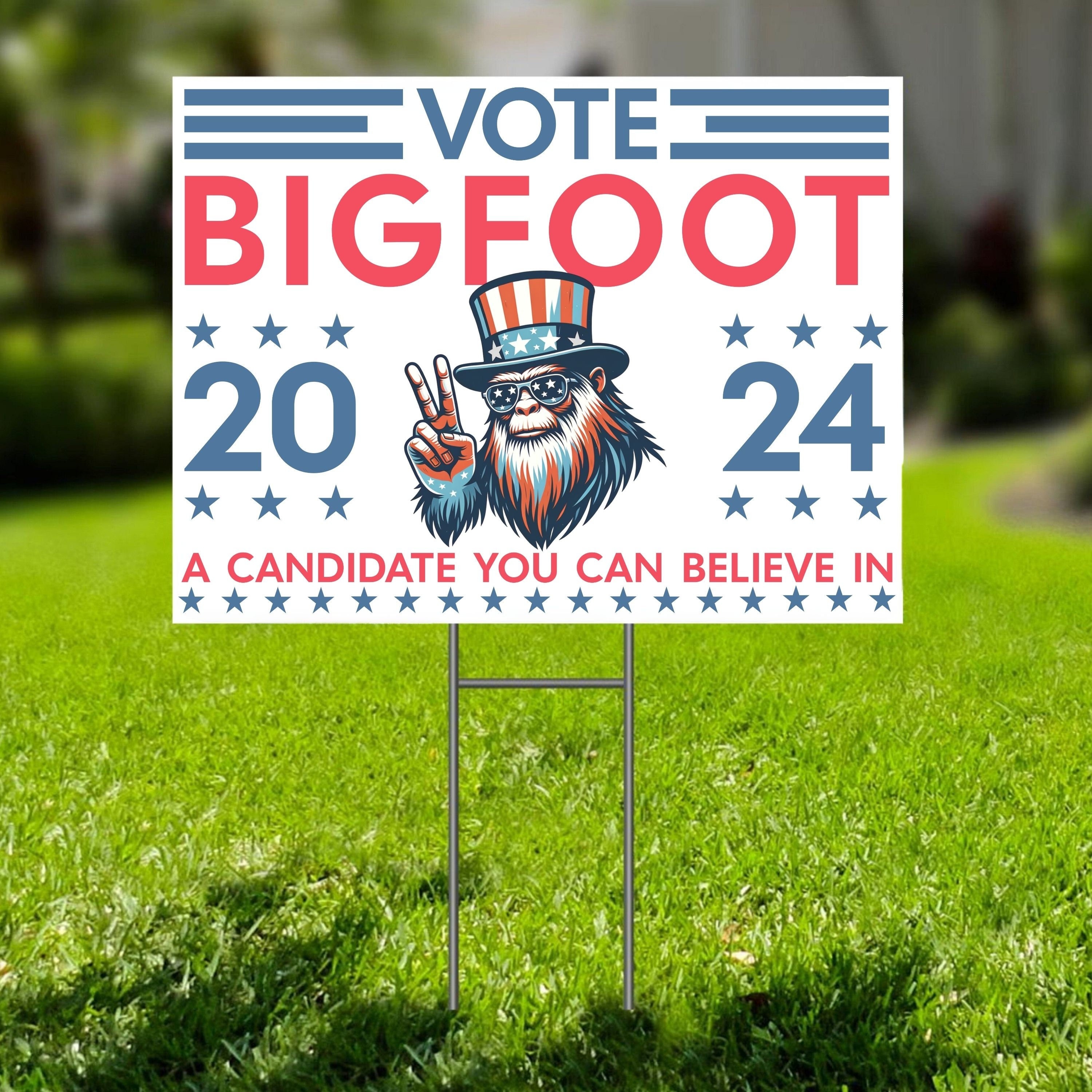 DIY Funny Political Yard Signs: Easy Steps & Great Ideas