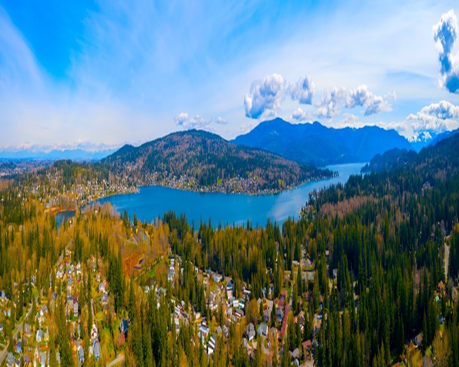 Where are the top listings for a business for sale Whatcom County? Check these platforms for great options!
