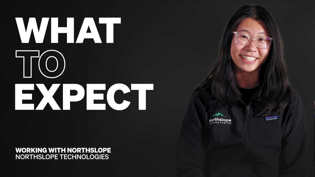 What services does Northslope Technologies provide? (Discover their easy IT support solutions)