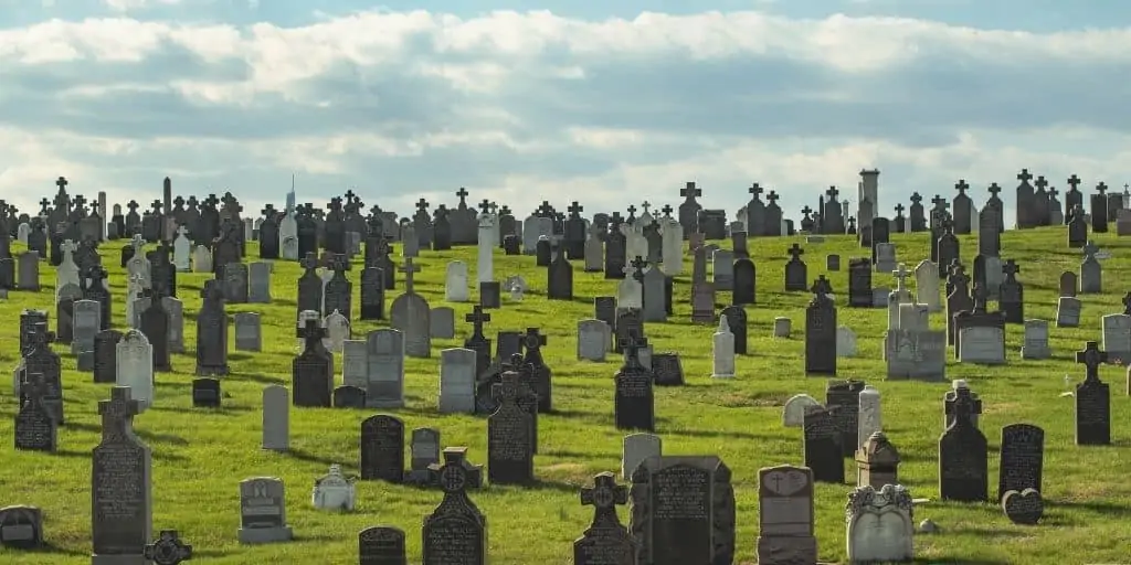 Want to buy a cemetery business for sale? Check out these current listings and essential tips for buyers.