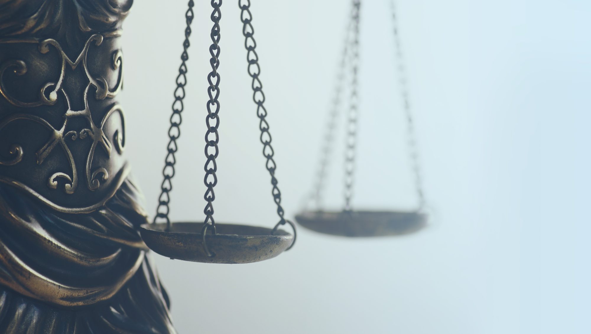 Political Asylum: A Balanced Look at the Good and the Bad Sides
