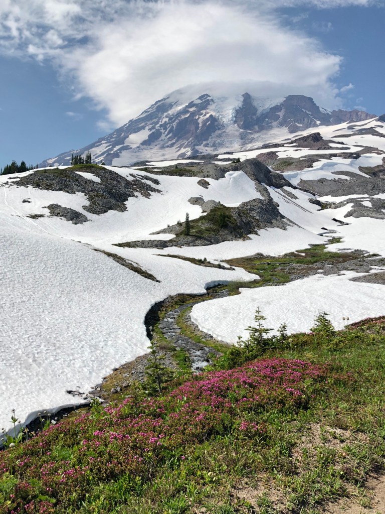 Is Mindful Health Northwest Good? Real People Share Results!