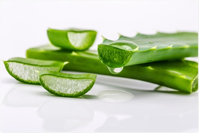Wow the wonder plant of the world! Top 5 health benefits you need.